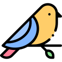 flaticon.com