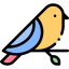 bird